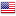 Flag of US